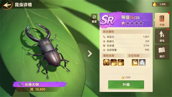 СС�Ҵ�������˼���°�