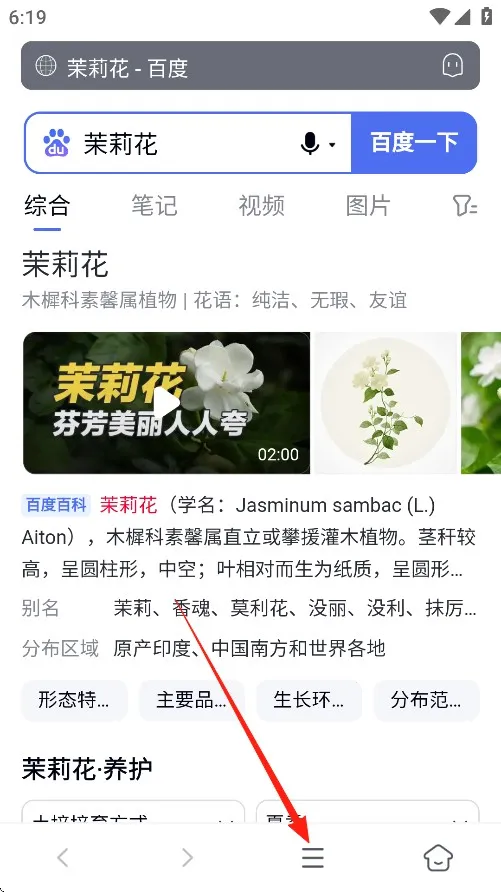 蓝奏浏览器手机版