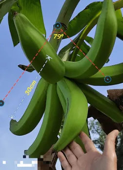 标注大师破解版