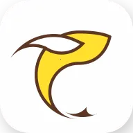 飞鱼浏览器下载安装