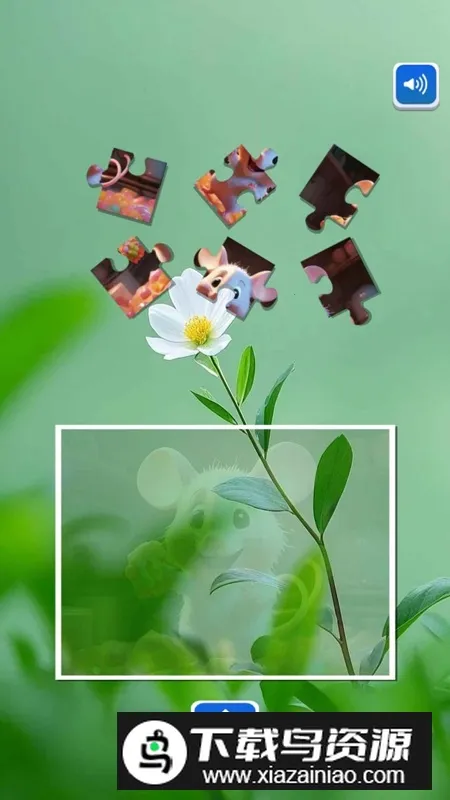 天天乐闯关2026官方最新版本