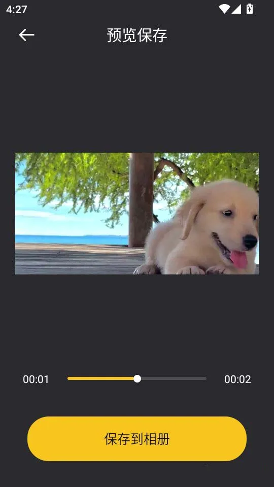 音范丝4k 音范丝4k