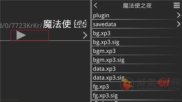 魔法使之夜直装版