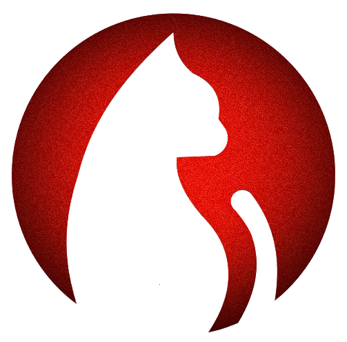 ׷��è2026�ٷ����°汾