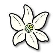 橙花模拟器2026官方最新版本