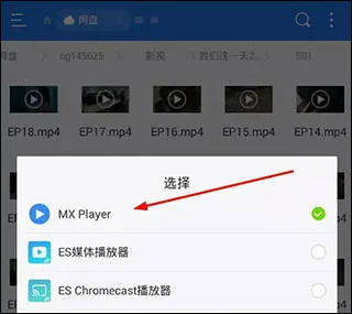 mx�������ƽ��޹��רҵ��