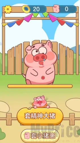 抓了个猪2026下载