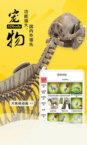 3dbody宠物版免费 3dbody宠物版免费