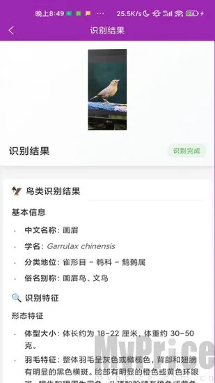 识鸟(鸟类识别工具)