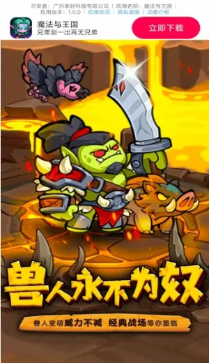 魔法与王国(魔法策略战斗游戏)