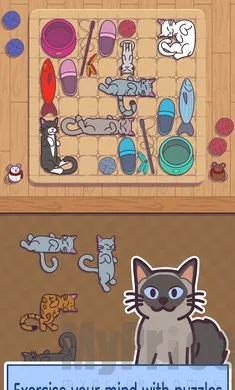 密米尔2026最新版本