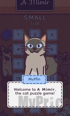 密米尔2026最新版本