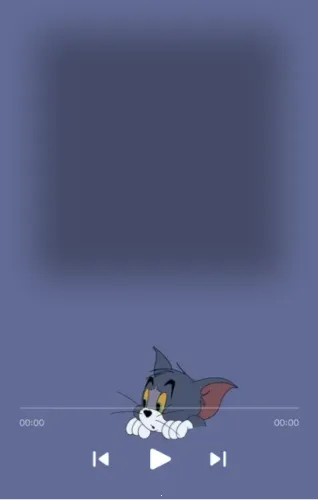 椒盐音乐播放器