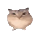 巴巴博一(巴巴博一平台)