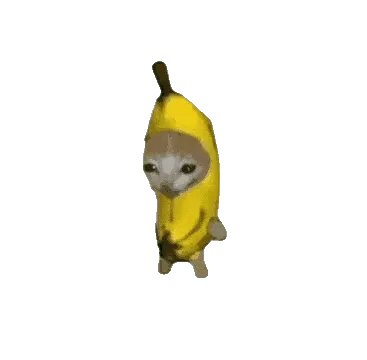 比比拉布(比比拉布平台)