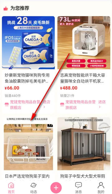 宠链宠物安卓版手机版