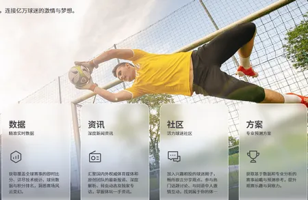 百分球看球网(体育赛事分析)