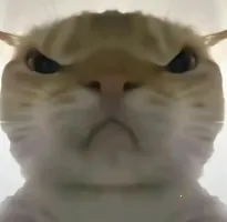 三角洲行动鼠鼠工具2026官方最新版本