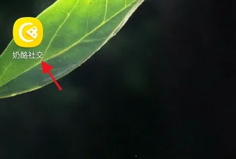 奶酪辅助最新手机版