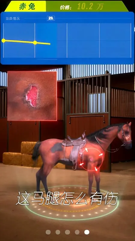 赛马也疯狂免广告