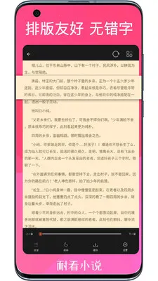 耐看小说(小说阅读平台)