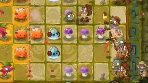 植物大战僵尸2失落之城2026最新版本