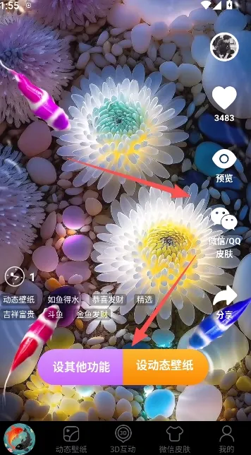 锦鲤金鱼壁纸(壁纸软件功能全)