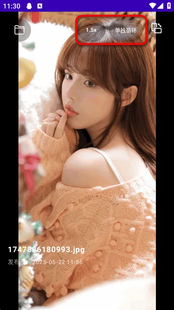 TikAlbum(文件播放器)