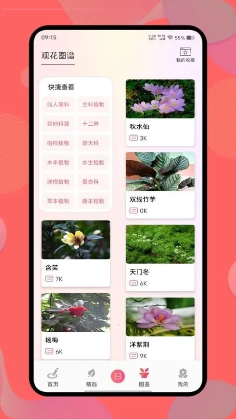 ������2026���ذ�װ