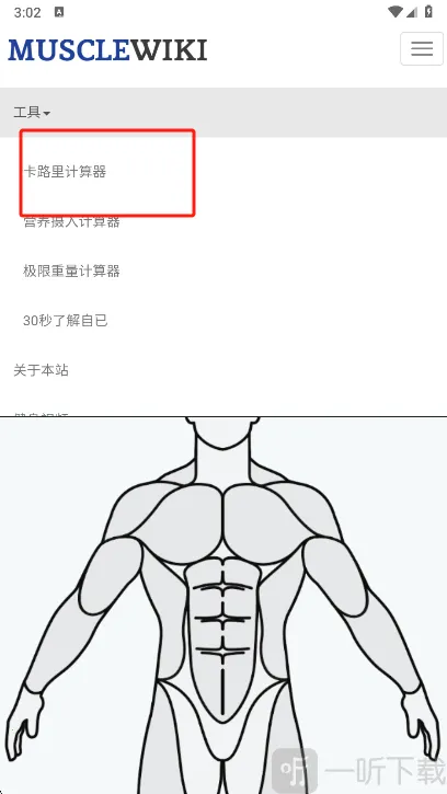 Muscle Wiki2026�ٷ����°汾