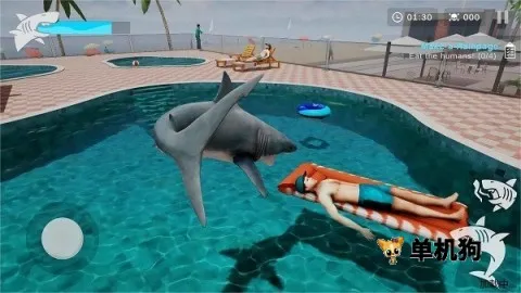 �������ս�����ֻ���