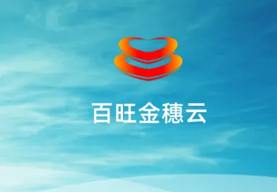 百旺金穗云(财税服务平台)