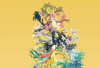 旋转之树(休闲益智游戏)