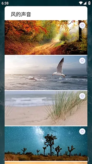 风的声音最新手机版 风的声音最新手机版