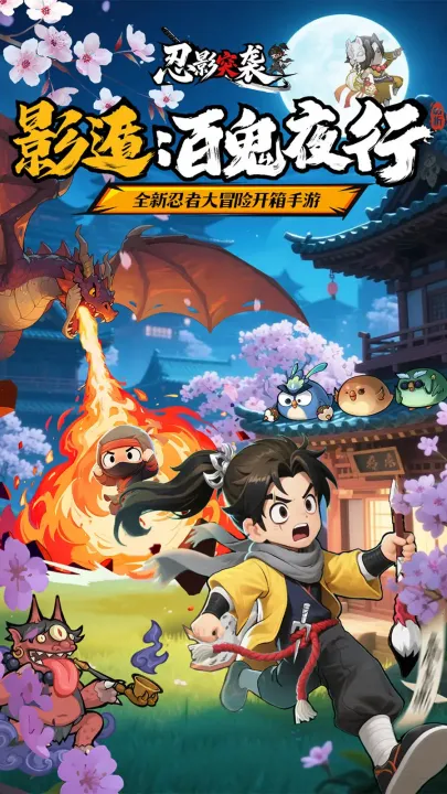 忍影突袭(忍者扮演游戏)