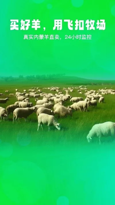 飞扣(宠物养殖管理)