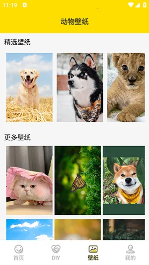 兔子表情包最新手机版