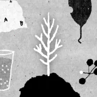 她的树安卓版手机版