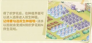 ֯��ɭ��2026�ٷ�����