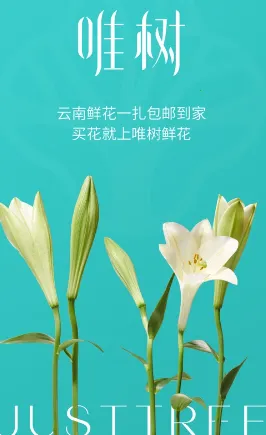 唯树鲜花2026官方正版 唯树鲜花2026官方正版