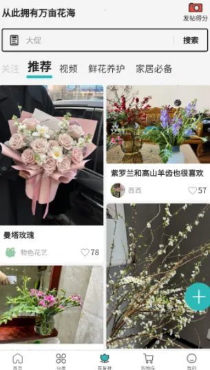 唯树鲜花2026官方正版 唯树鲜花2026官方正版