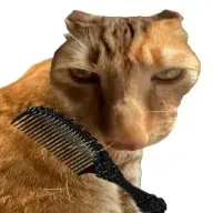 ��è��ë�����ֻ���v1.0 �ٷ���