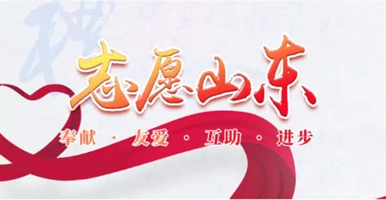 志愿山东2026官方正版 志愿山东2026官方正版