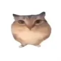 �ͰͲ�һ����v1.0 �ٷ���
