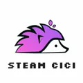 SteamCICI2026���ذ�װv0.9.1 �ٷ���