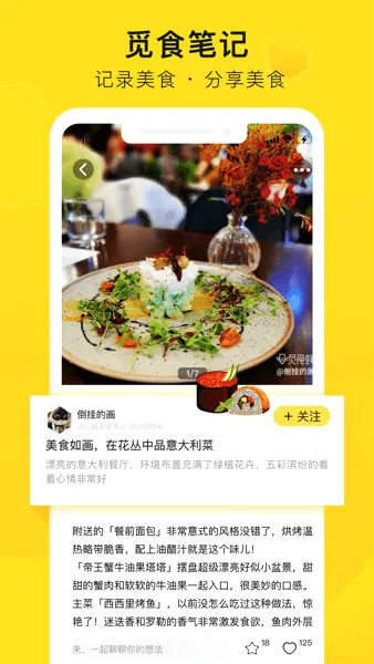 觅食蜂 觅食蜂