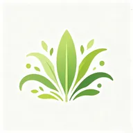 小草灵动助手