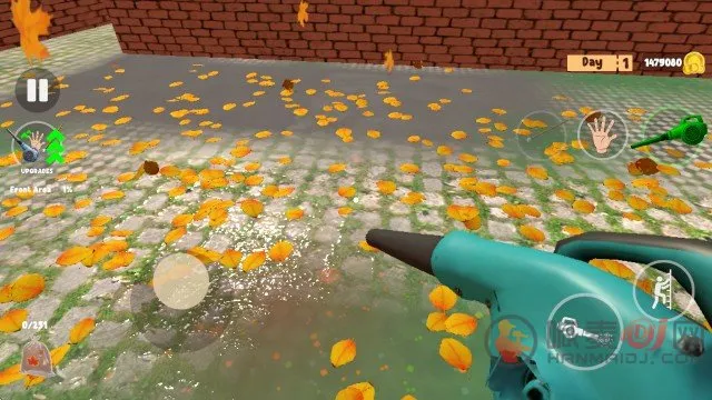 �����Ҷ