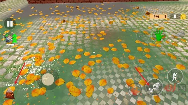 �����Ҷ