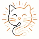 拾光猫